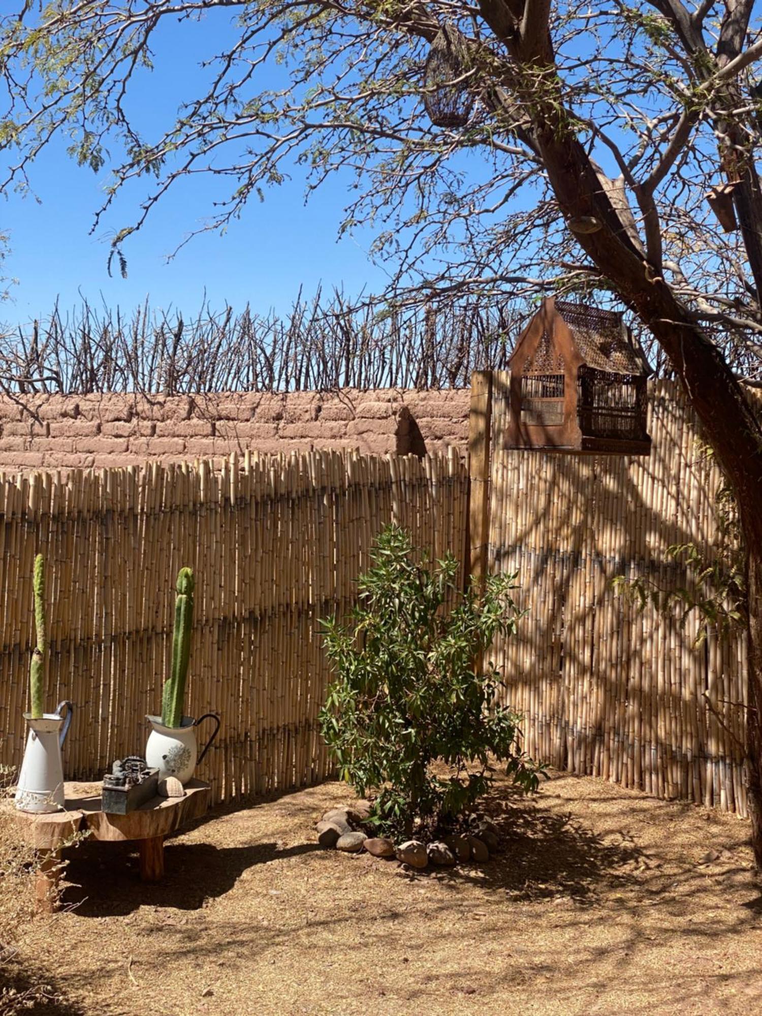 Pensjonat Casa Luna San Pedro De Atacama Zewnętrze zdjęcie