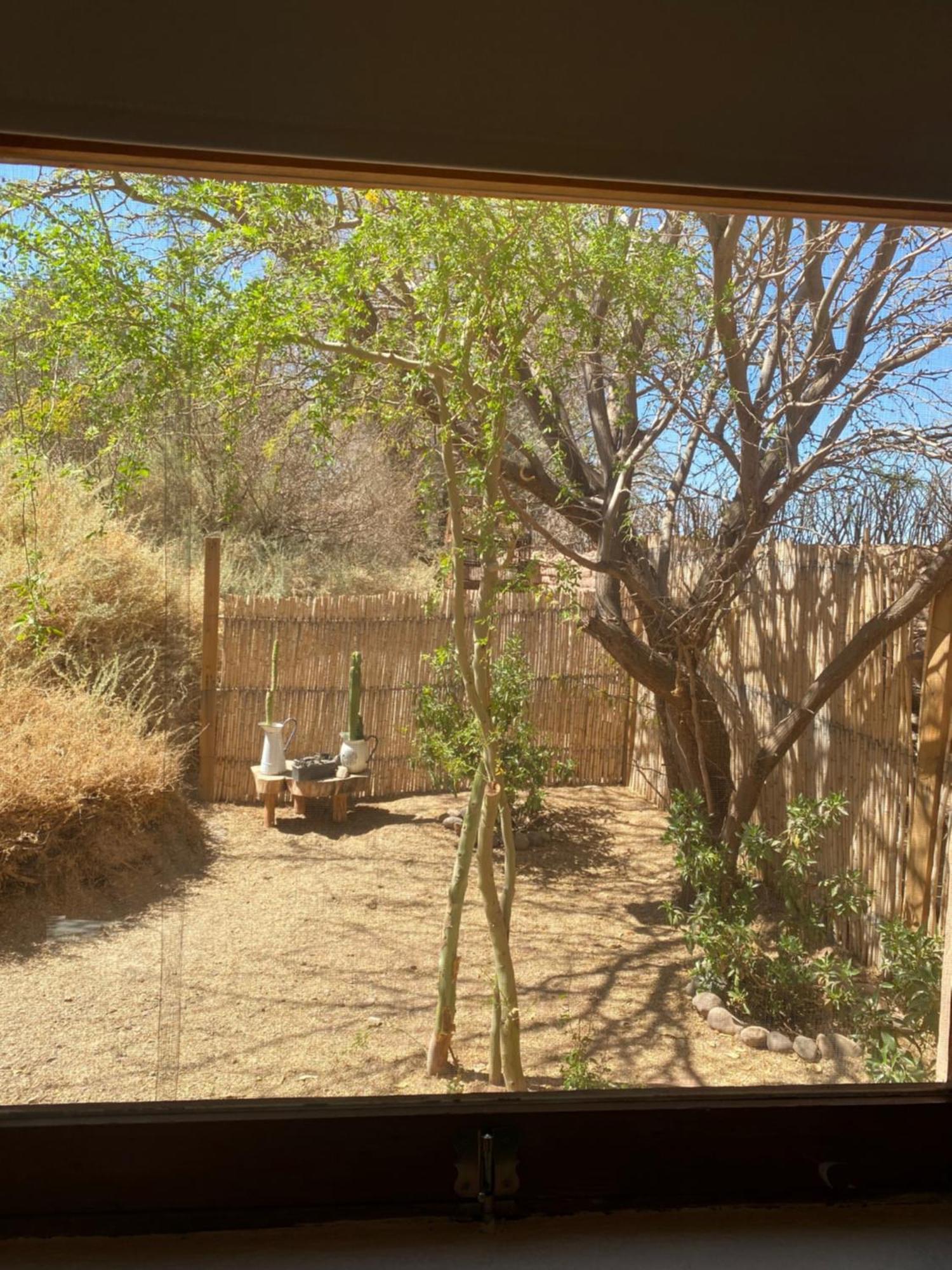 Pensjonat Casa Luna San Pedro De Atacama Zewnętrze zdjęcie