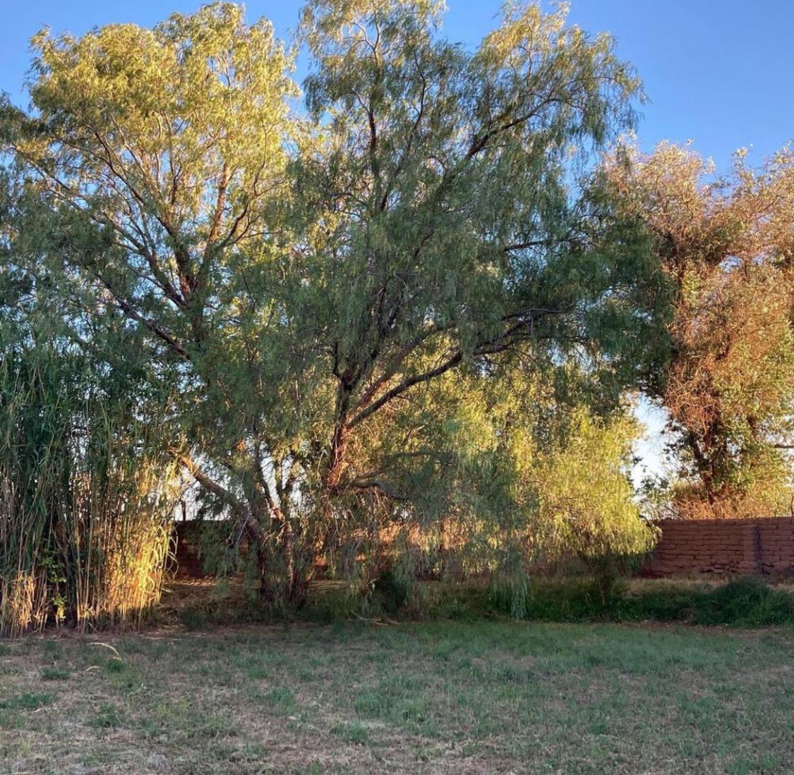 Casa Luna San Pedro De Atacama Zewnętrze zdjęcie