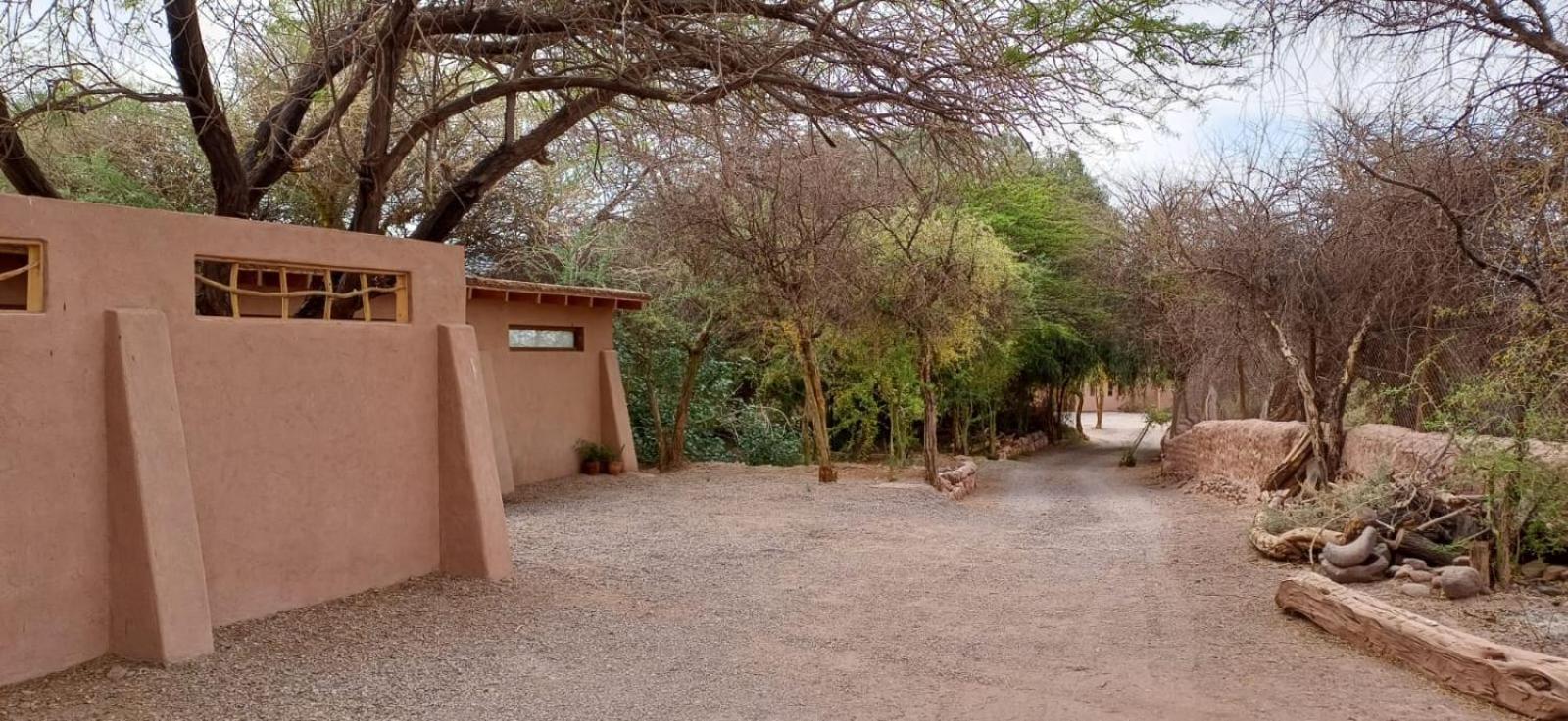 Pensjonat Casa Luna San Pedro De Atacama Zewnętrze zdjęcie